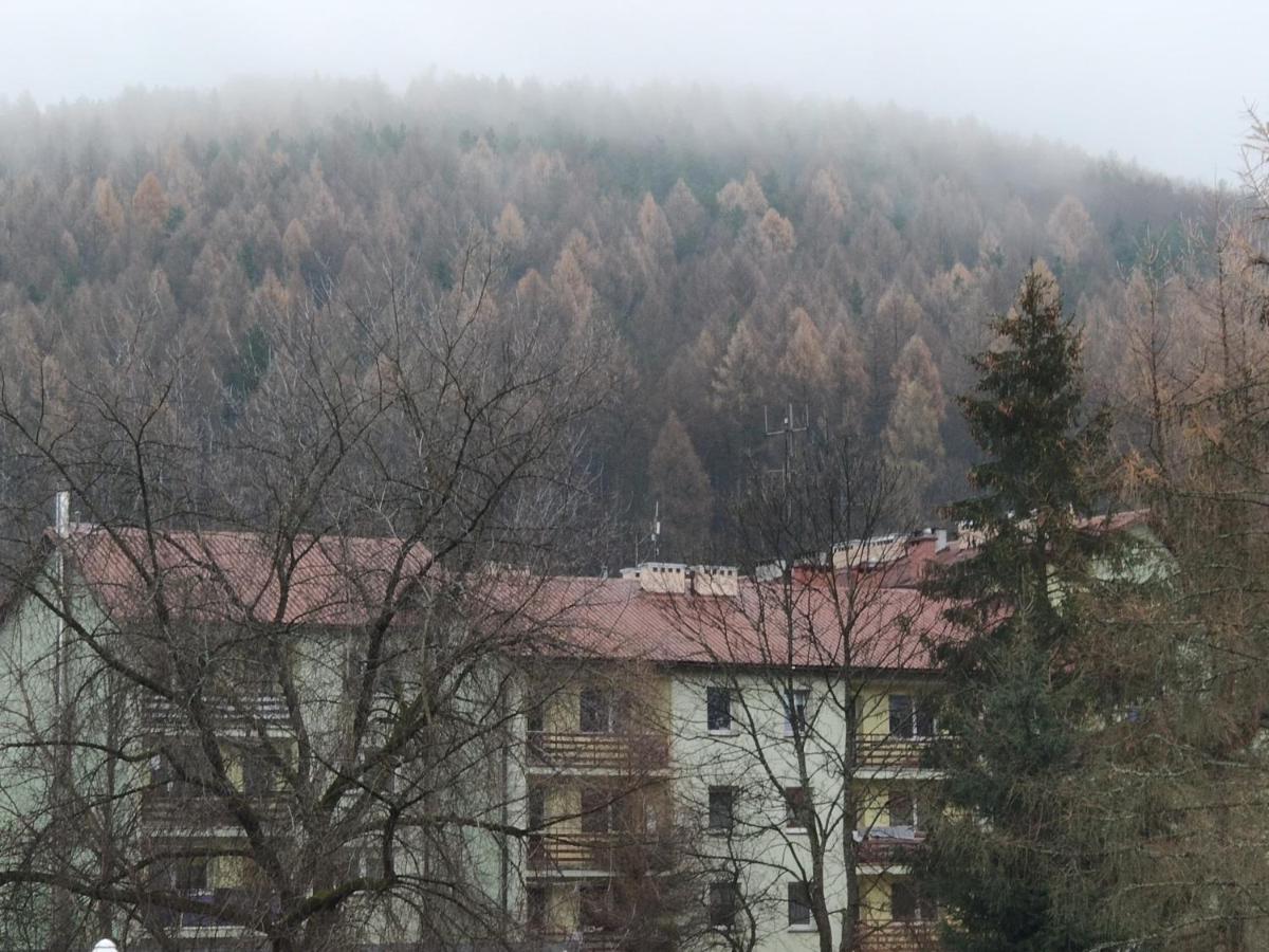 Apartament Wataha Ustrzyki Dolne Exterior foto